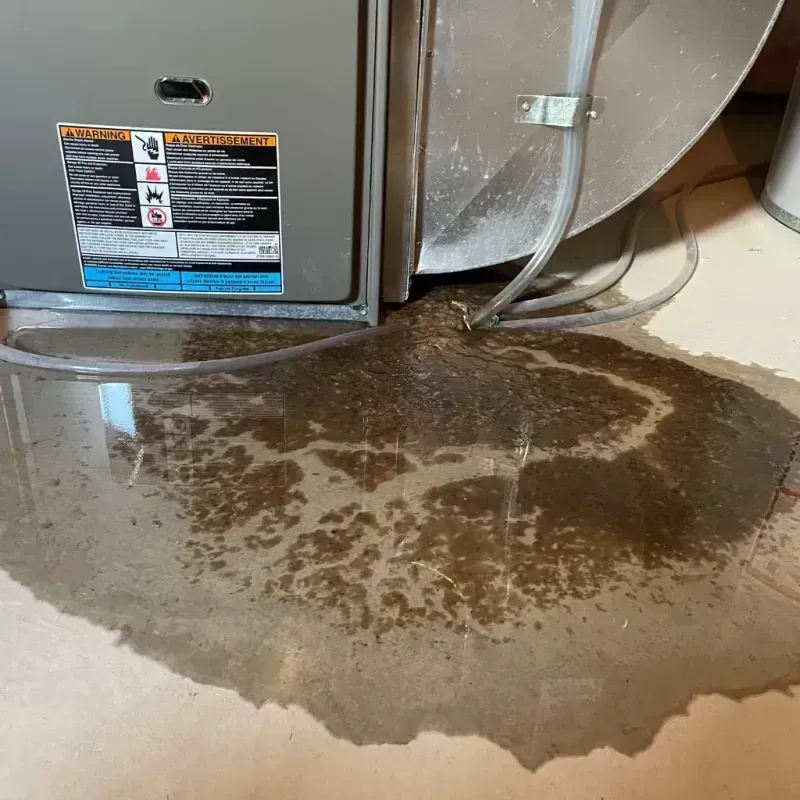 Appliance Leak Cleanup in Steinhatchee, FL